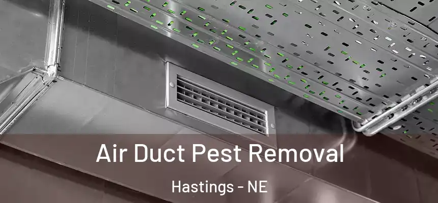  Air Duct Pest Removal Hastings - NE