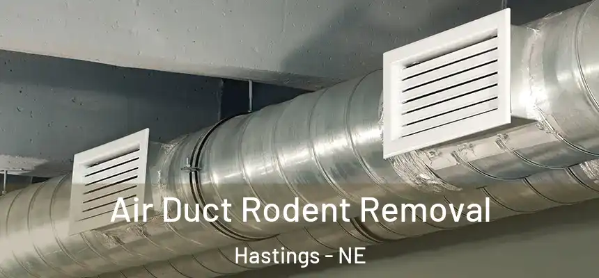 Air Duct Rodent Removal Hastings - NE