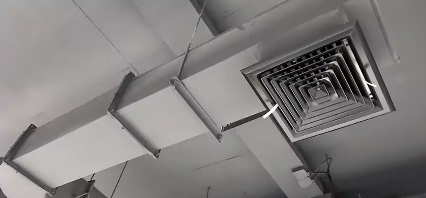 Our Pest Removal From Ducts Services in Hastings, NE