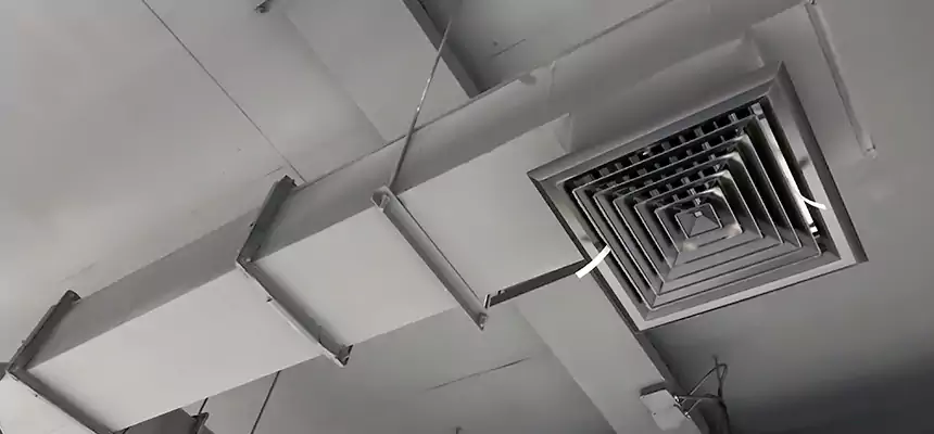 Our Rodent Droppings In Vents Services in Hastings, NE