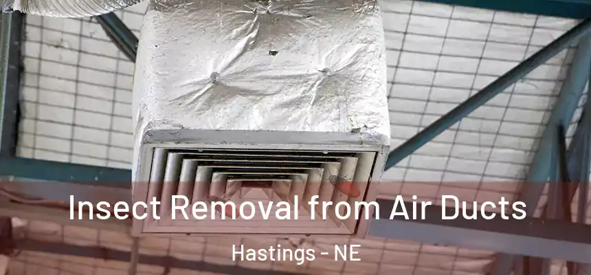 Insect Removal from Air Ducts Hastings - NE