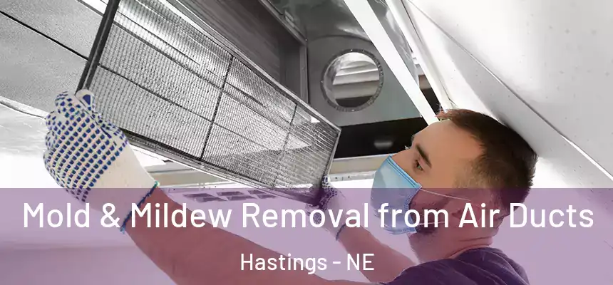 Mold & Mildew Removal from Air Ducts Hastings - NE