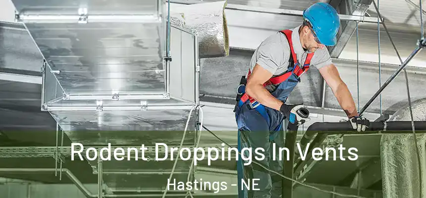  Rodent Droppings In Vents Hastings - NE