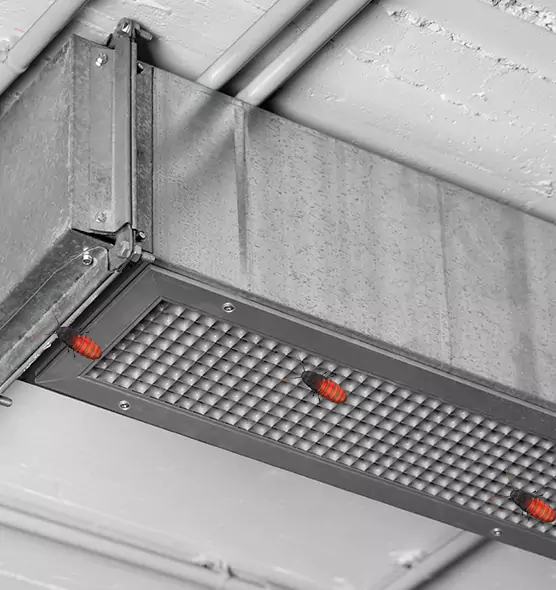 Affordable Insect Removal from Air Ducts in Hastings, NE