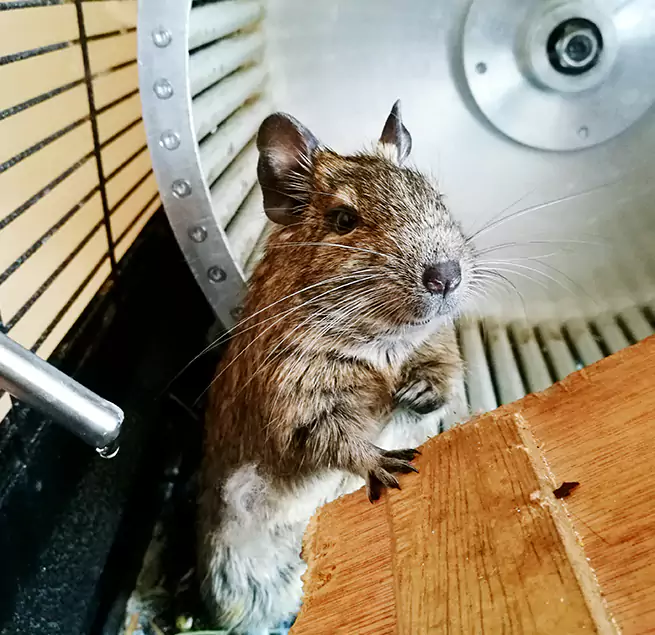 Why Homeowners & Businesses Trust Us Hastings, NE?